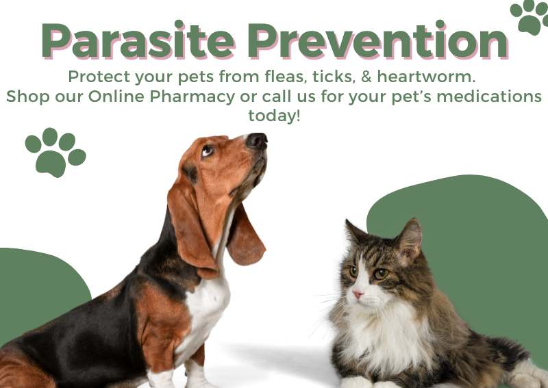 Carousel Slide 1: Learn more >