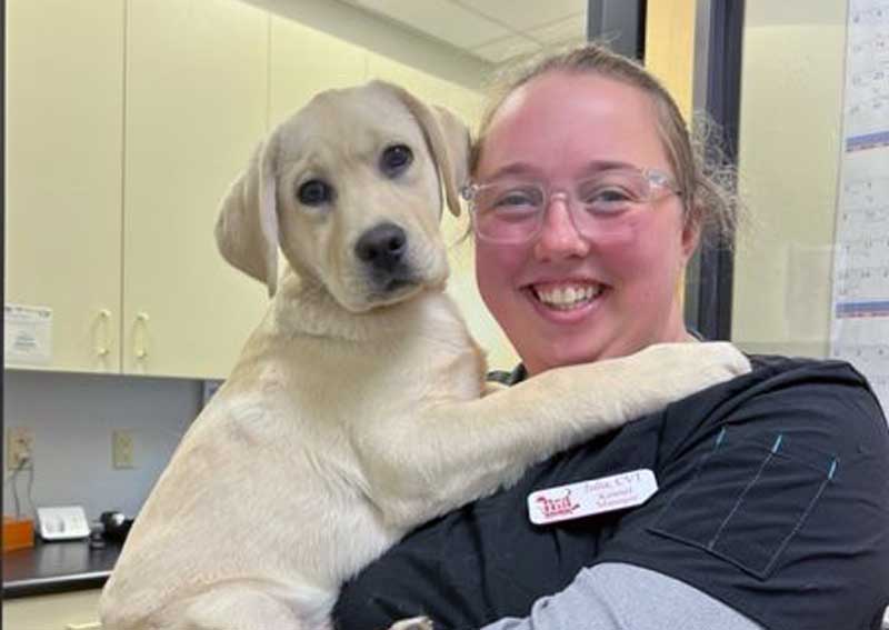 Carousel Slide 5: Dog veterinary care